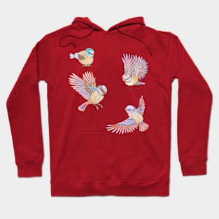 Paradise birds Hoodie